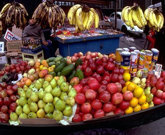 fruit.jpg