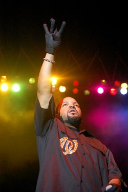 veronicaice-cube250.jpg