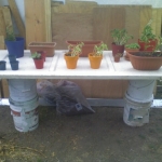Garden1