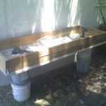 Garden2