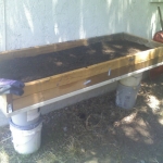 Garden3
