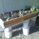 Garden4